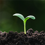 istockphoto-1160795148-170667a